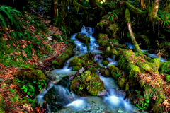 Mount Baker stream